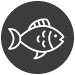 Aquatic-Life-5f58038f5b5c4