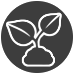 Vegitation-5f5806eaea108